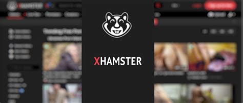 x hamster free pics|Hamster Photos, Download The BEST Free Hamster Stock。